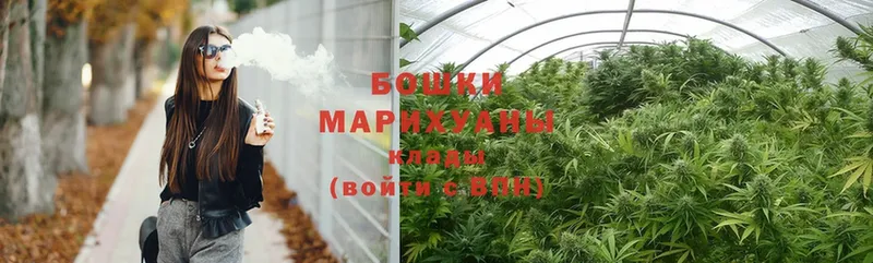 закладка  Зима  Бошки Шишки Ganja 